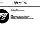 profiles page